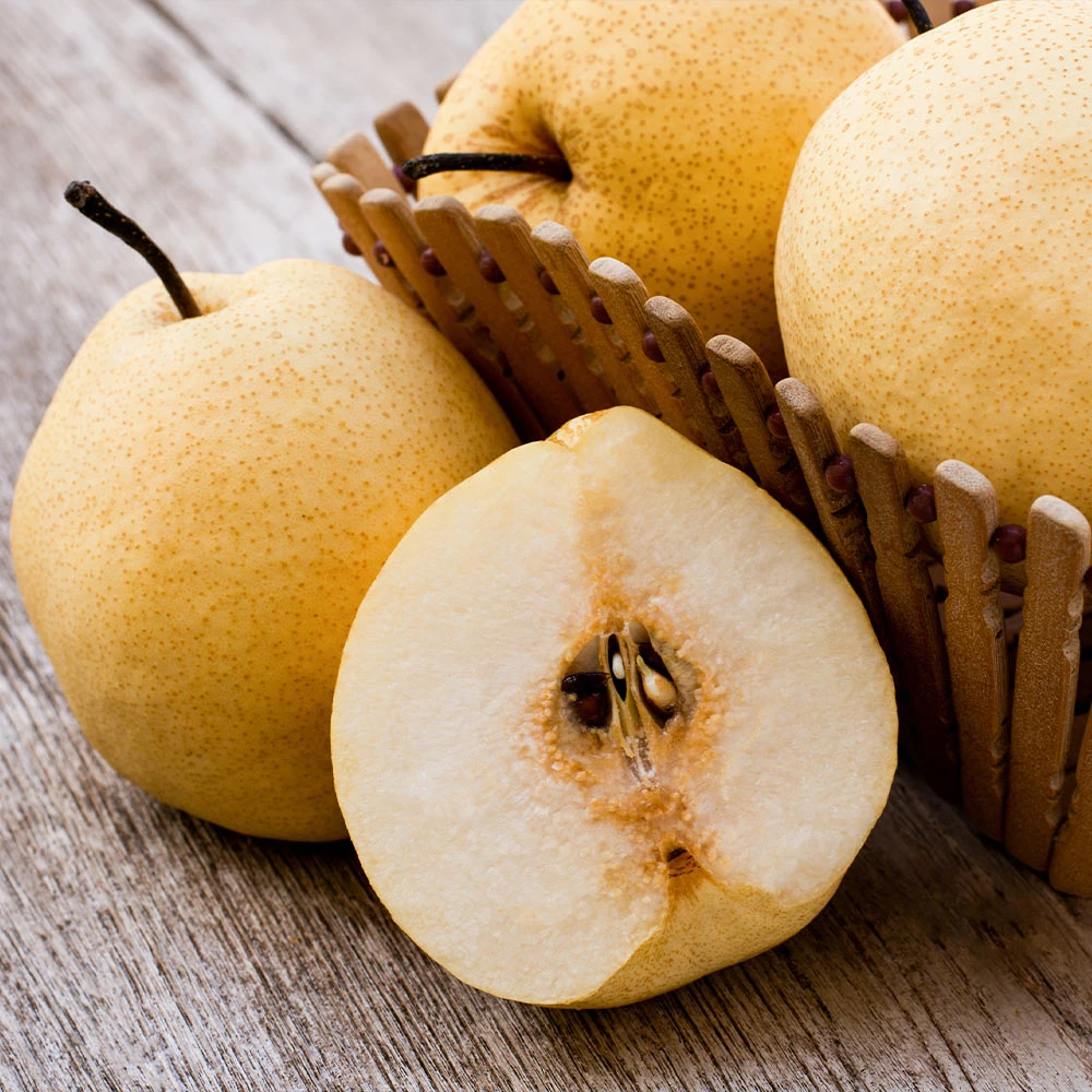 20th Century (Nijisseiki) Asian Pear Tree 5 20th Century (Nijisseiki) Asian Pear Tree - Image 3