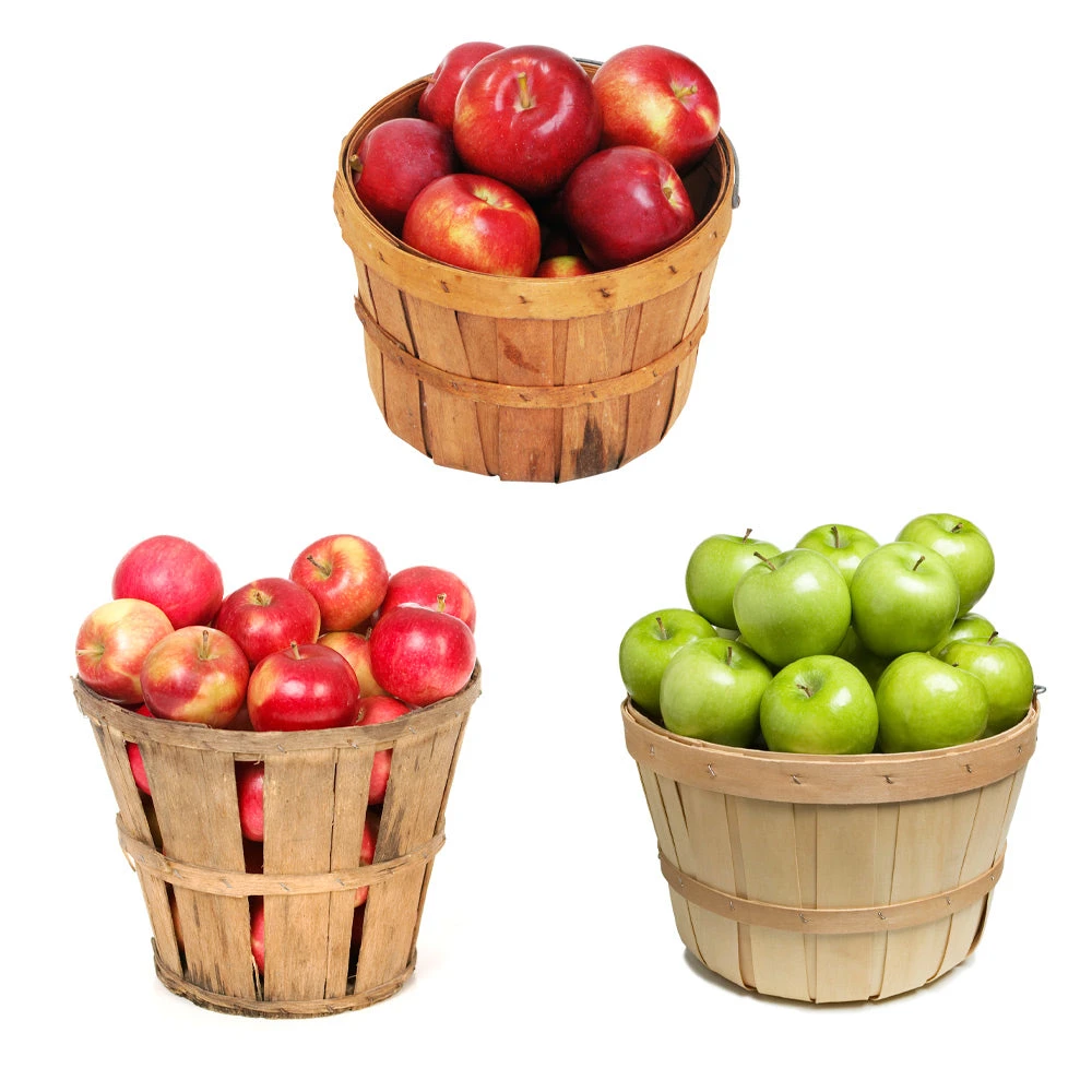 3 In 1 Apple Tree 4 3 In 1 Apple Tree - Image 2