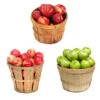 3 In 1 Apple Tree 1 3 In 1 Apple Tree -GreenNest Shop 3 in 1 Apple 600x600 0e0ed339 9aed 4ad4 8bb3 3116ac09b8bc