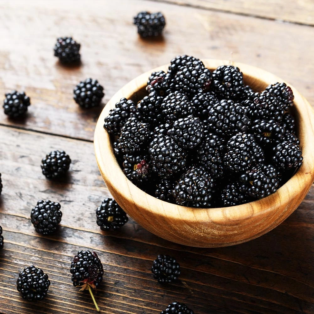 3-in-1 Blackberry Bush 4 3-in-1 Blackberry Bush - Image 2