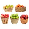 5-in-1 Apple Tree -GreenNest Shop 5 in 1 Apple 600x600 edecc26b 6045 45de 8472 208403d5d74d