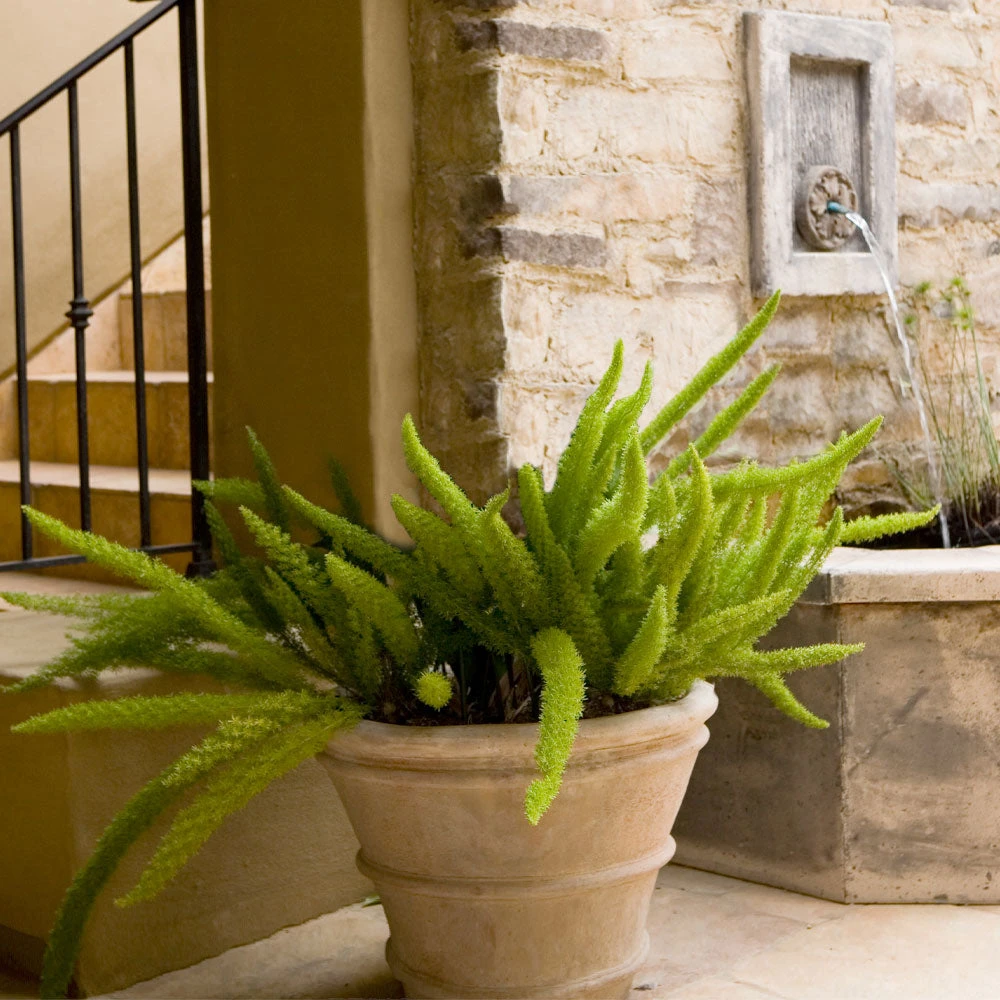 Front Page -GreenNest Shop