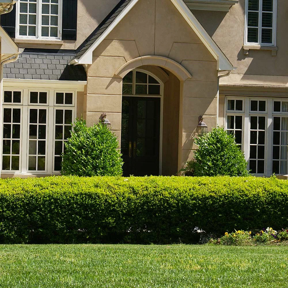 Front Page -GreenNest Shop Baby Gem 4