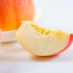 Belle Of Georgia Peach 9 Belle Of Georgia Peach -GreenNest Shop Belle of Georgia 3