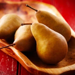 Bosc Pear Tree 8 Bosc Pear Tree -GreenNest Shop Bosc pears 2 BB