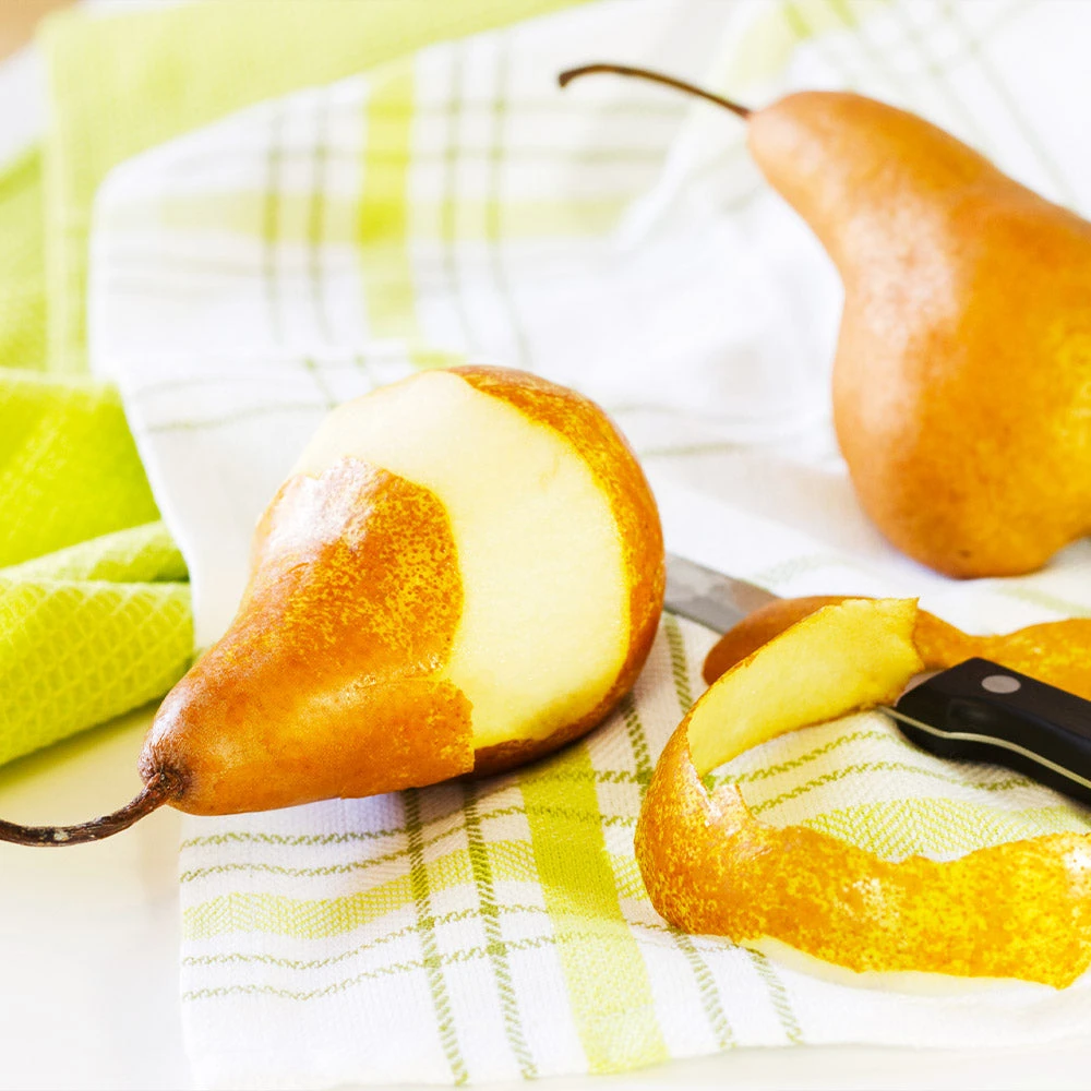 Bosc Pear Tree 6 Bosc Pear Tree - Image 4