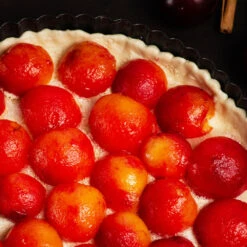 Bubblegum 'Toka' Plum Tree 11 Bubblegum 'Toka' Plum Tree -GreenNest Shop Bubblegum Toka Plum 3