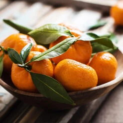 California Honey Mandarin Tree -GreenNest Shop California Mandarin 6 BB