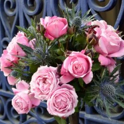 Cathedral Bells Rose -GreenNest Shop Cathedral Bells Rose Tree 2