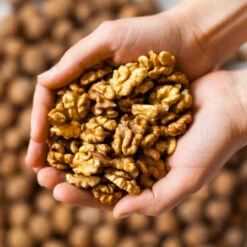 Chandler Walnut Tree -GreenNest Shop Chandler Walnut 2 BB