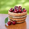 Chelan Cherry Tree -GreenNest Shop Chelan Cherry BB 600x600 de4f2e1d 04e9 4dfe b6bd a006c1a489d5