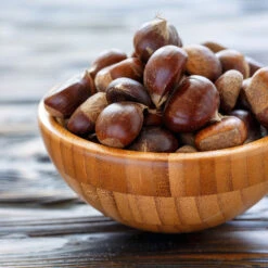 Chinese Chestnut Tree -GreenNest Shop Chinese Chestnut 5 BB