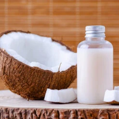 Coconut Palm Tree 13 Coconut Palm Tree -GreenNest Shop Coconut Palm 8 B