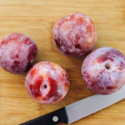 Dapple Dandy Pluot Tree 7 Dapple Dandy Pluot Tree -GreenNest Shop Dapple Dandy 2