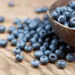 Emerald Blueberry Bush -GreenNest Shop Emerald Blueberries 1