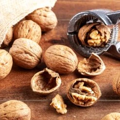 Carpathian English Walnut Tree -GreenNest Shop English Carpathian Walnut 1 BB