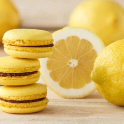 Eureka Lemon Tree -GreenNest Shop Eureka Lemon Tree 2 BB