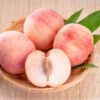 Indian Free White Peach Tree 2 Indian Free White Peach Tree -GreenNest Shop Indian Free Peach BB 600x600 aab5f603 1c23 4340 b017 388d5fcd4c0d
