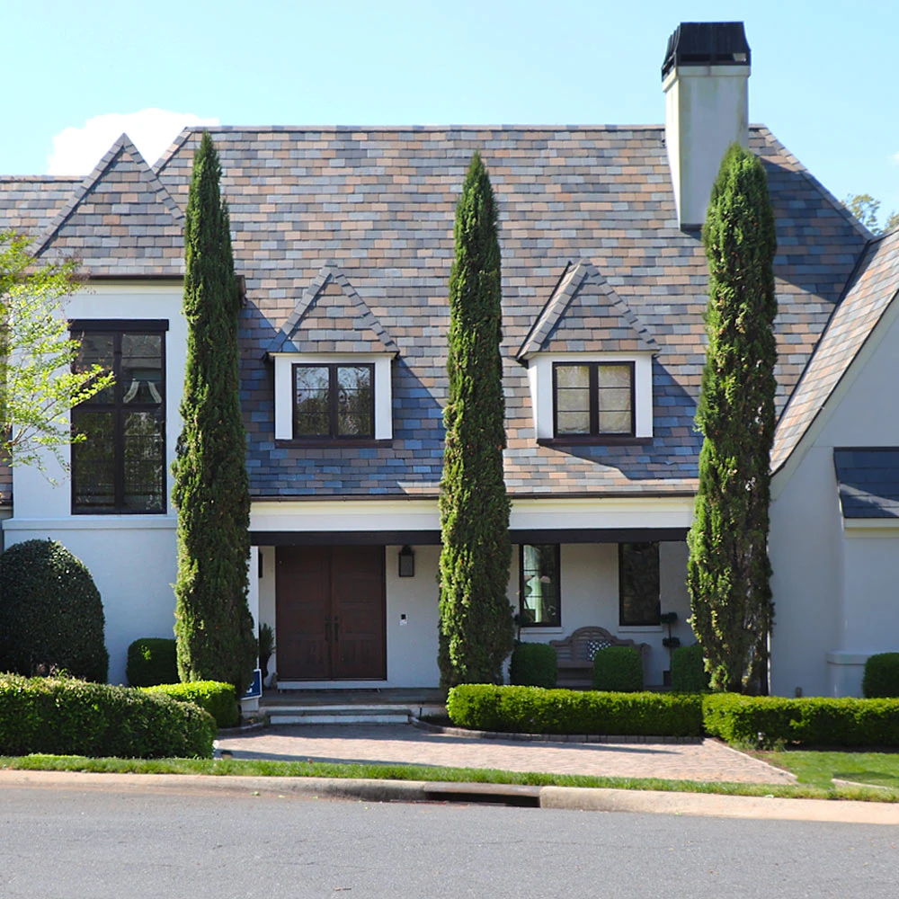 Italian Cypress Tree 4 Italian Cypress Tree - Image 2