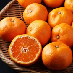 Kishu Mandarin Tree 10 Kishu Mandarin Tree -GreenNest Shop Kishu Mandarin Tree 3 BB