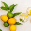 Lemon-Lime Citrus Bush 1 Lemon-Lime Citrus Bush -GreenNest Shop Lemon Lime Tree BB 600x600 0420f12c 20c4 46f2 a328 475c1c09450a