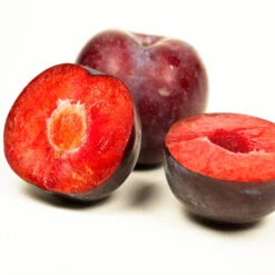 Methley Plum Tree -GreenNest Shop Methley Plum 3