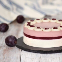 Methley Plum Tree -GreenNest Shop Methley Plum 5