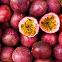 Nancy Garrison Passion Fruit Vine -GreenNest Shop Nancy Garrison Passion Fruit Vine 4 BB