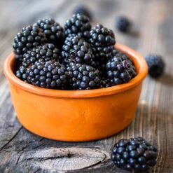 Navaho Blackberry -GreenNest Shop Navaho Blackberry 4 BB