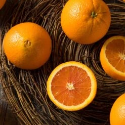 Navel Orange Tree -GreenNest Shop Navel Orange 3 BB 604a991f 7055 4201 9ddd 1e1e6b4d59fb