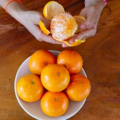 Nules Clementine Tree 8 Nules Clementine Tree -GreenNest Shop Nules Clementine 4 BB