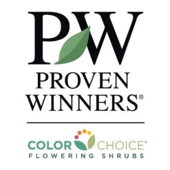 Bloomerang® Purple Reblooming Lilac Shrub 13 Bloomerang® Purple Reblooming Lilac Shrub -GreenNest Shop PW Logo CC 1000x1000 96b1db55 70f5 4f1e 9f16 326d3c05f70f