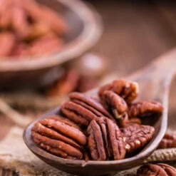 Pawnee Pecan Tree -GreenNest Shop Pawnee Pecan 3 BB