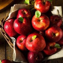 Apple Pollinator Pack 12 Apple Pollinator Pack -GreenNest Shop Red Delicious Apple 2