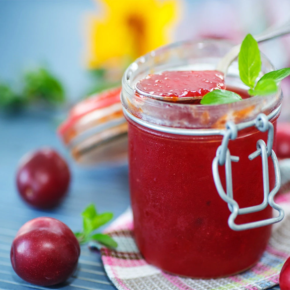 Santa Rosa Plum Tree 7 Santa Rosa Plum Tree - Image 5