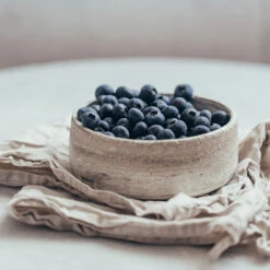 Sharpblue Blueberry Bush -GreenNest Shop Sharpblue Blueberry 1