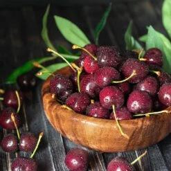 Skeena Cherry Tree 7 Skeena Cherry Tree -GreenNest Shop Skeena Cherry 3 BB