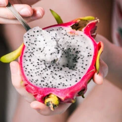 Healthy Superfoods Kit -GreenNest Shop Superfoods 2 BB