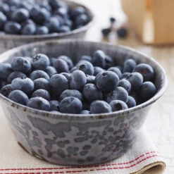 Sweetheart Blueberry Bush -GreenNest Shop Sweetheart BLueberry 4