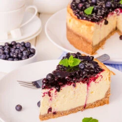 Sweetheart Blueberry Bush -GreenNest Shop Sweetheart BLueberry 5