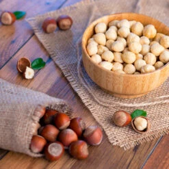 Theta Filbert Hazelnut Tree 9 Theta Filbert Hazelnut Tree -GreenNest Shop THeta FIlbert Hazelnut 4