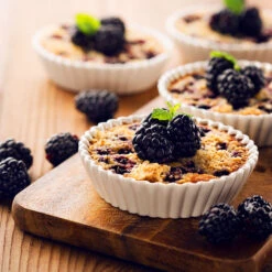 Thornless Blackberry Bush -GreenNest Shop Thornless Blackberry 2