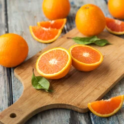 Valencia Orange Tree 13 Valencia Orange Tree -GreenNest Shop Valencia Orange 2 BB