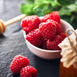 Willamette Red Raspberry Bush -GreenNest Shop Wiliamette Raspberry 1